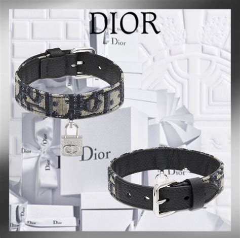 dior dog accessories|Dior dog perfume.